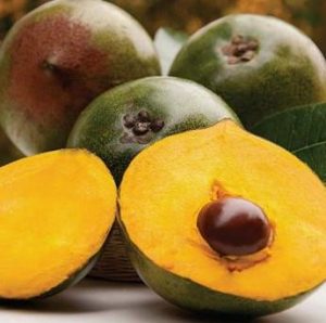 Lucuma