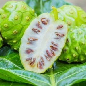 Noni Noni